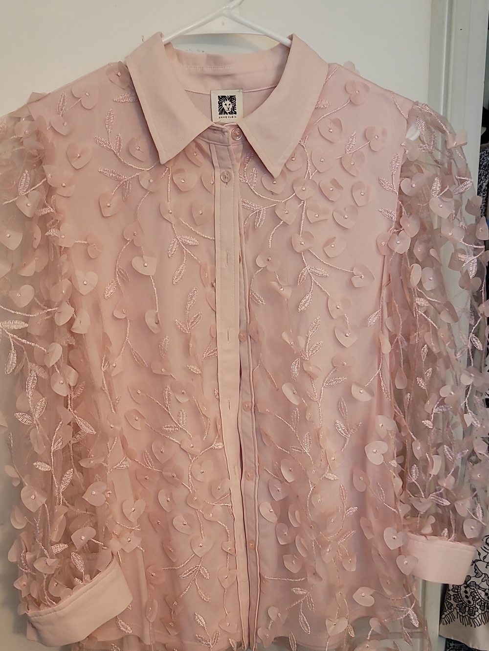 Delicate Pink Embroidered Button-Front Top